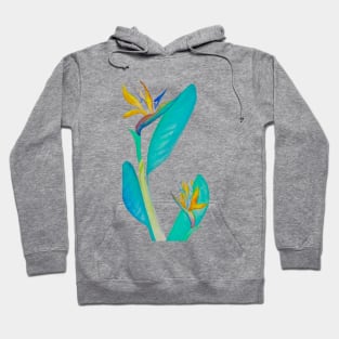 Bird of paradise plant Hoodie